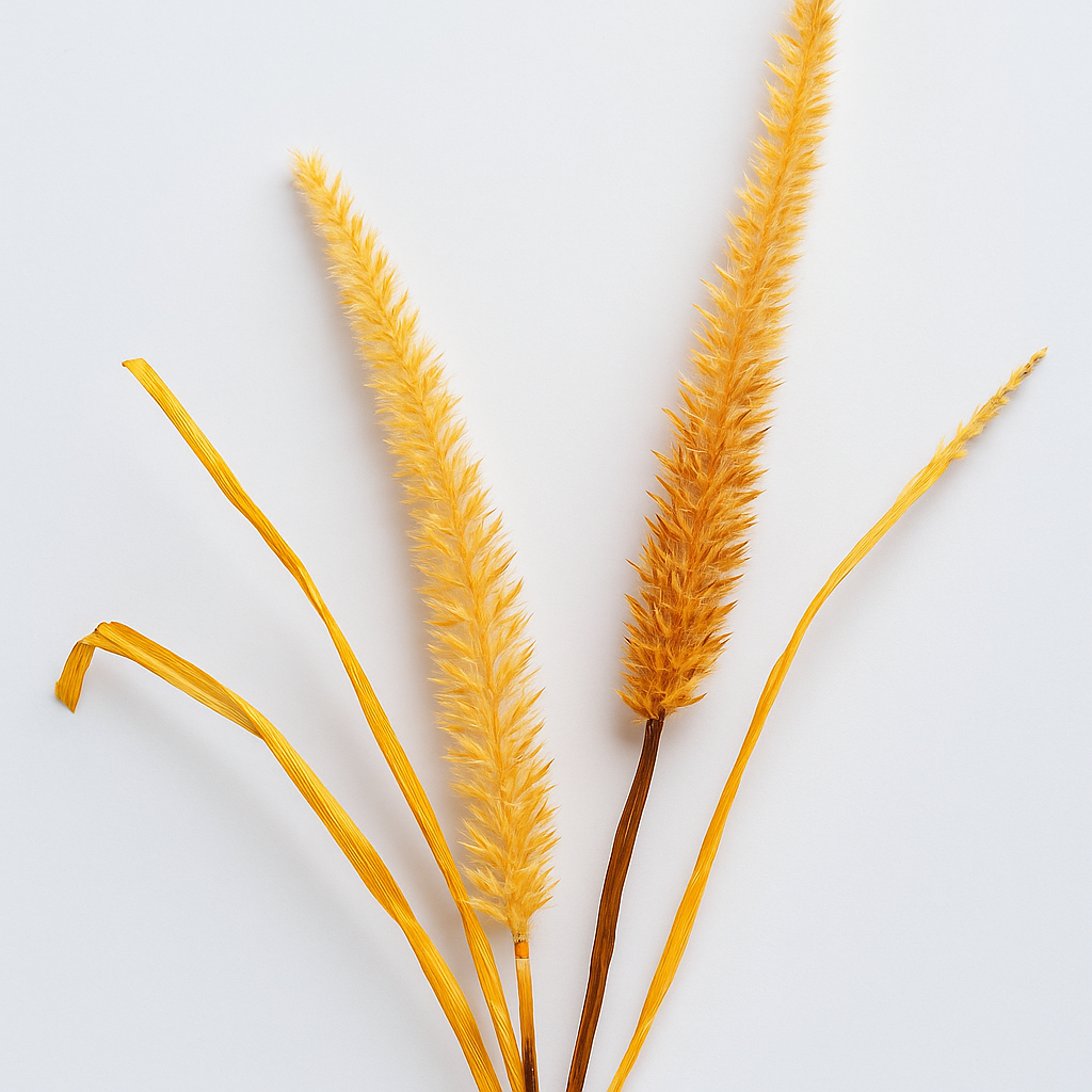 Desert Whisper Stem