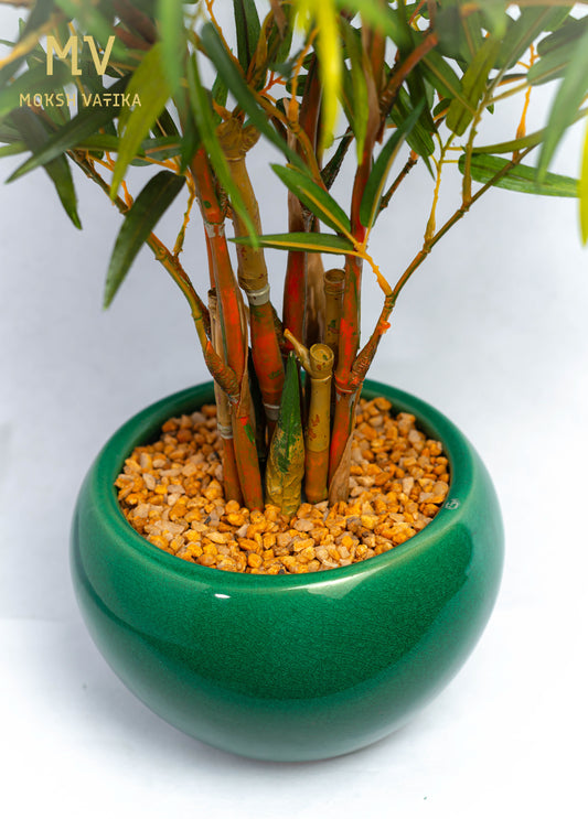 Realistic indoor bamboo plant in ceramic pot