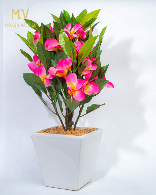 Tropical Pink Plumeria in Ceramic Planter