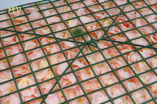 Blush Peach Wall Panel