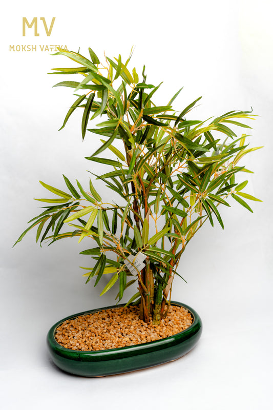 MV Faux Bamboo in Gloss Oval Planter