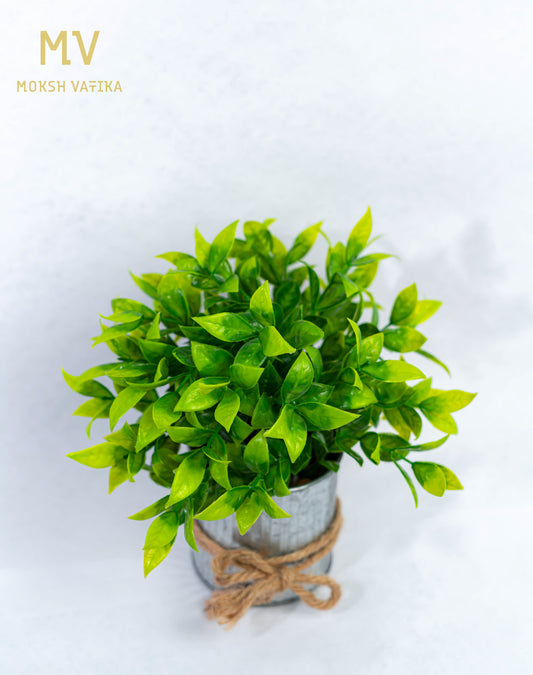 Faux Green Plant in Tin Pot with Jute Tie