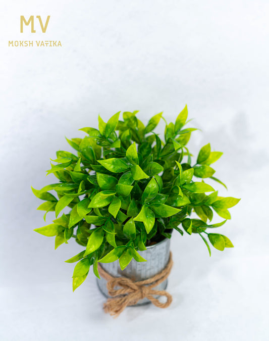 Faux Green Plant in Tin Pot with Jute Tie