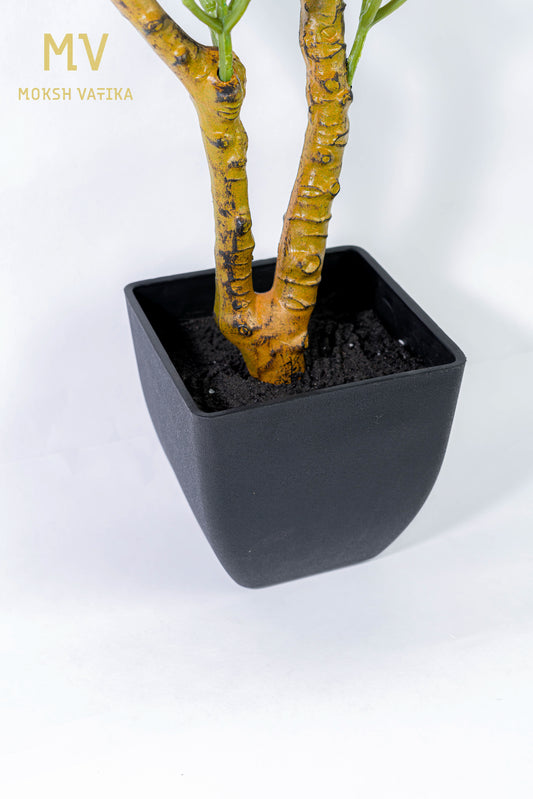 Faux broadleaf indoor plant in modern black pot