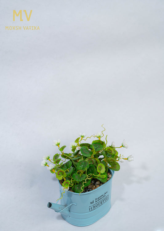 Chouette Tin Planter – White Bloom