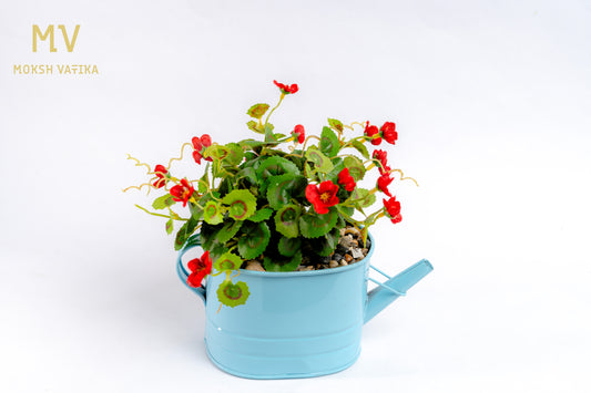 Chouette Tin Planter – Red Bloom