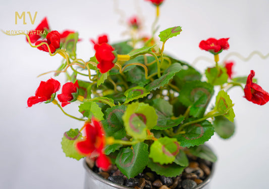 Chouette Tin Planter – Scarlet Bloom