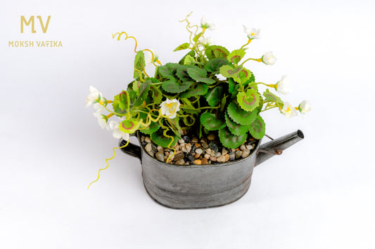 Chouette Tin Planter – White Bloom