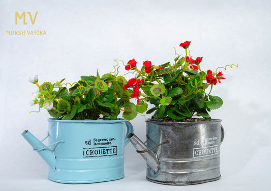 Chouette Charm – Twin Planter Set