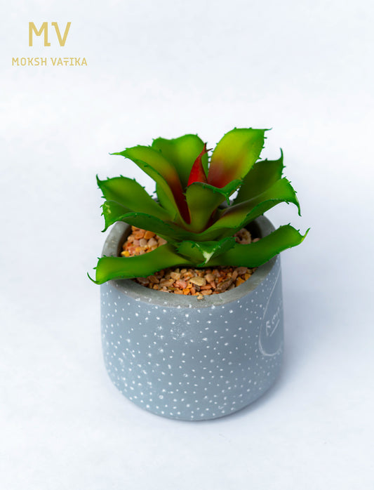 Faux Succulent in Bonjour Ceramic Pot