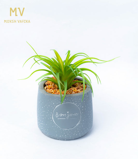 Artificial Spider Plant in Bonjour Pot