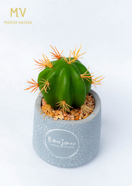 Mini Faux Cactus in Bonjour Grey Pot
