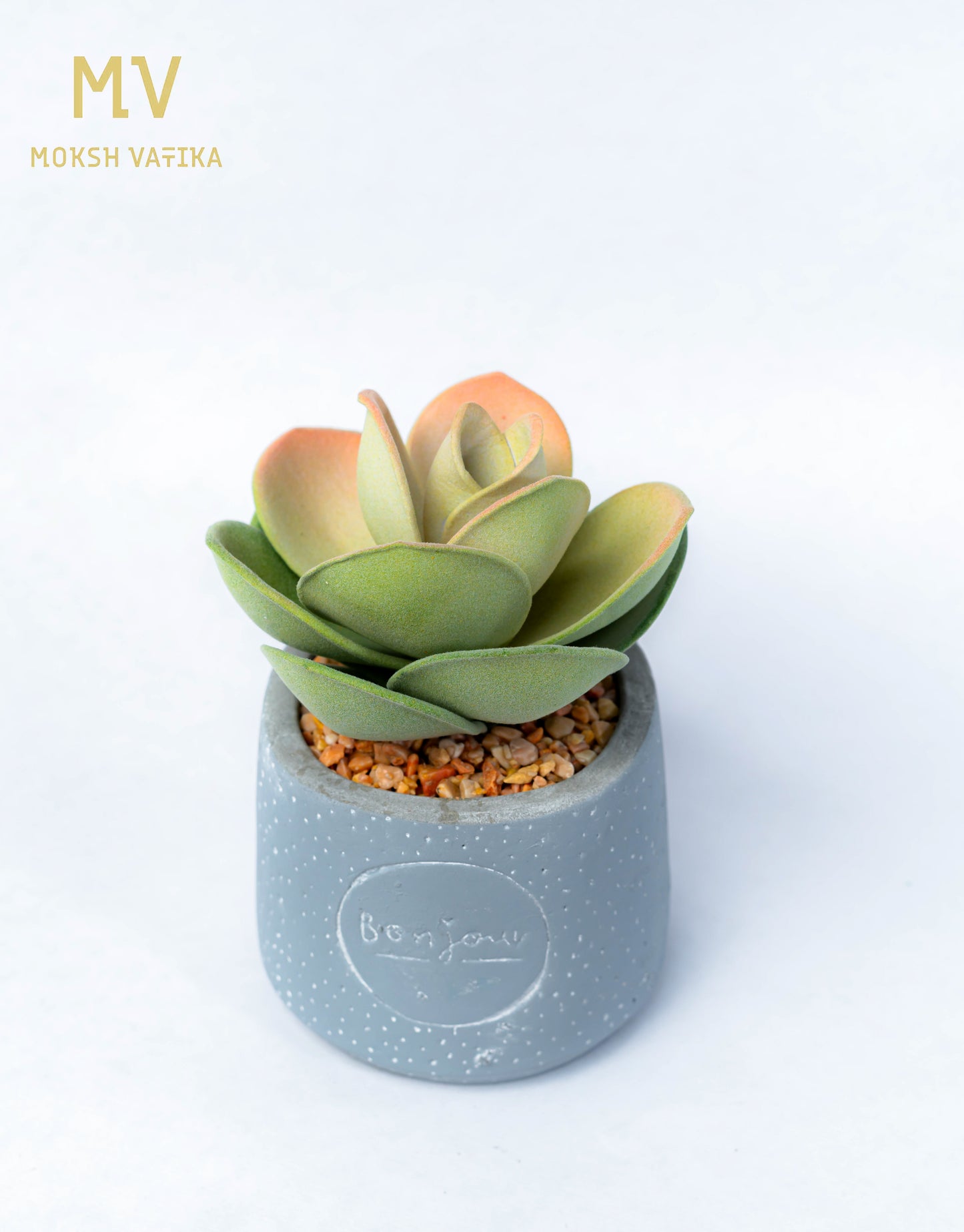 Faux Echeveria in Bonjour Pot