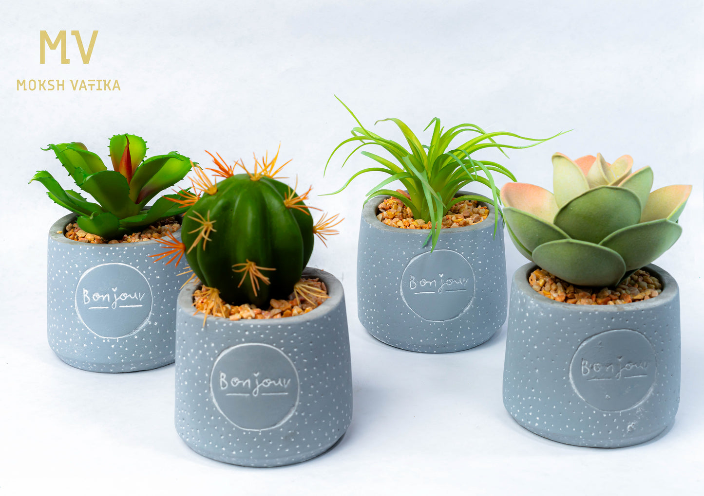 The Bonjour Minis - Luxe Desk Plant Set (Set of 4)