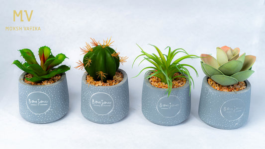 The Bonjour Minis - Luxe Desk Plant Set (Set of 4)