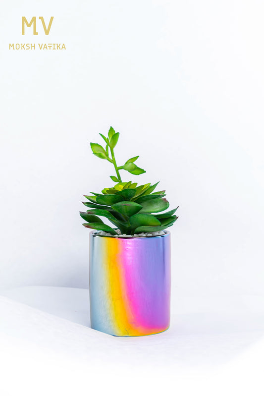 Holographic Succulent in Rainbow Ceramic Pot