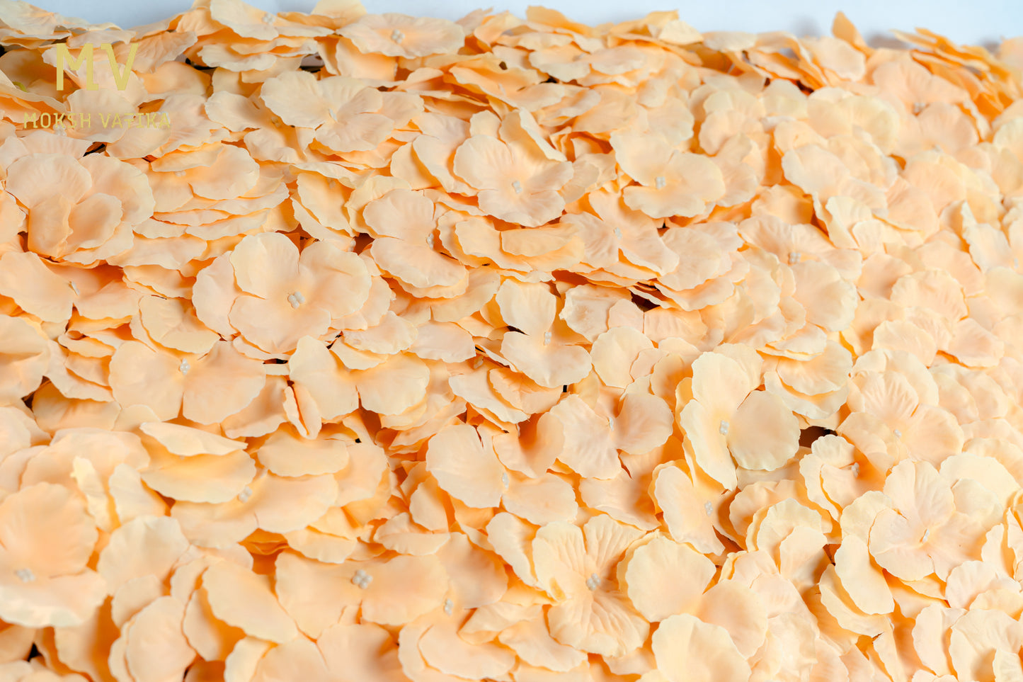 Peach Glow Wall Panel