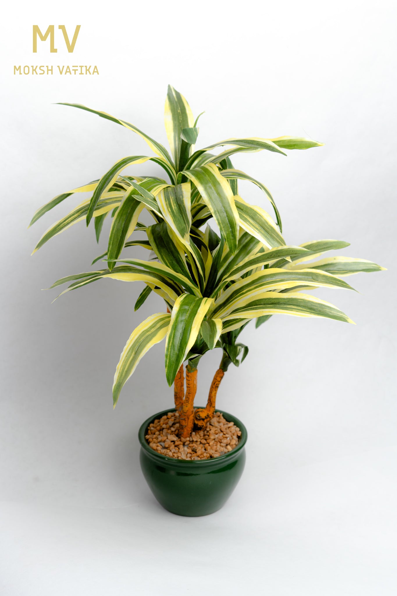 Dracaena Artificial Plant – Twin Stem in Glossy Green Pot