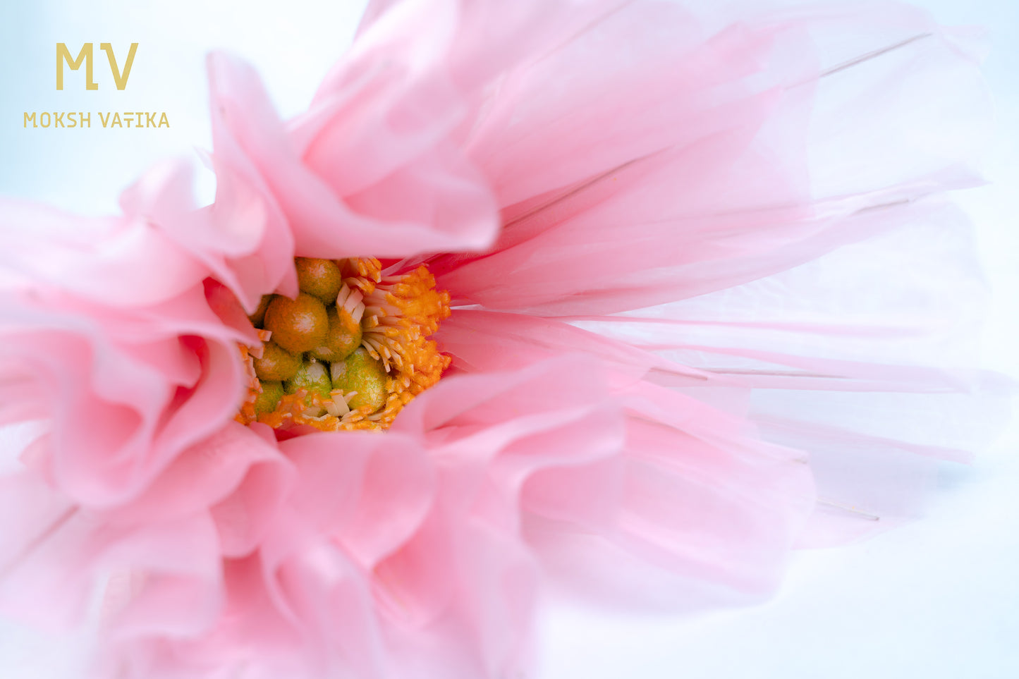 Artificial Tulle Peony Flower – Pink