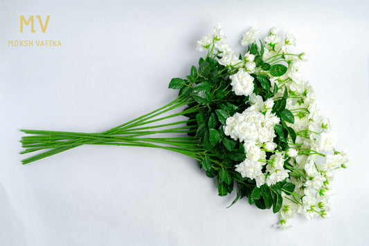 White Rose Spray – Set of 6
