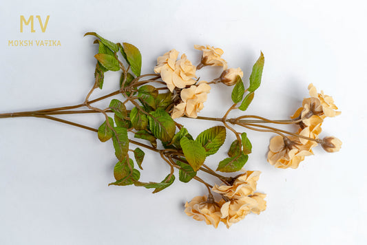 Soft Beige Rose Spray – Set of 6