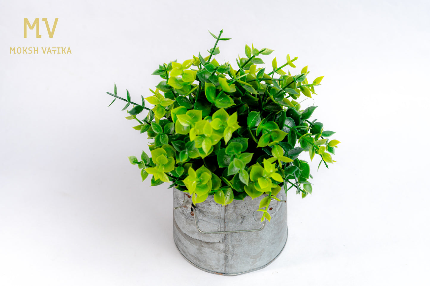 Mini Eucalyptus Bush in Rustic Tin Pot