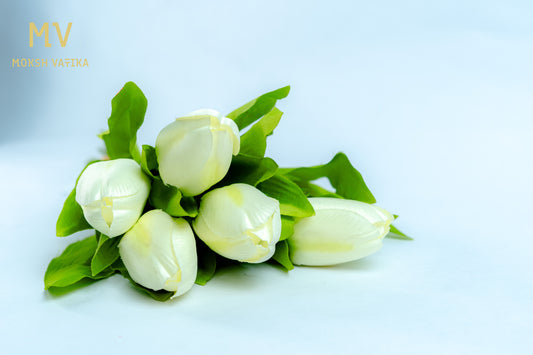 White Tulip Bunch – 5 Heads