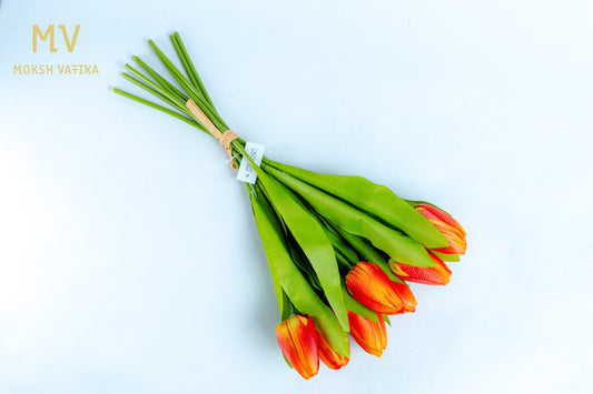Peach Tulip Bunch – 6 Heads