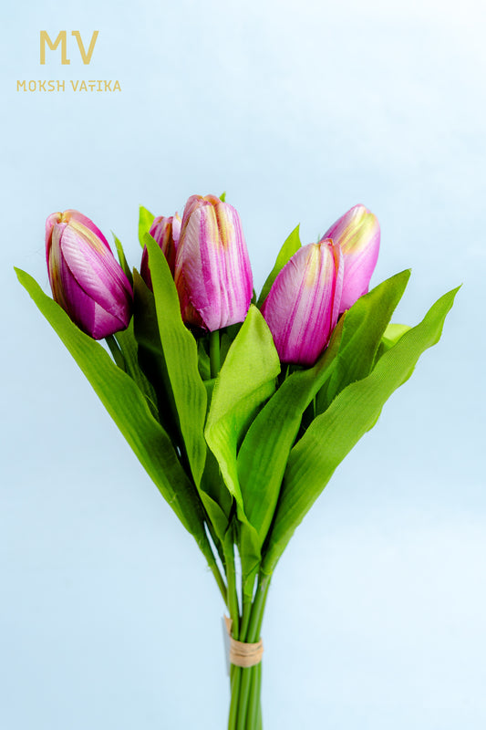 Purple Tulip Bunch – 5 Heads