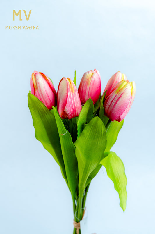 Pink Tulip Bunch – 6 Heads