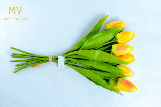 Yellow Tulip Bunch – 6 Heads