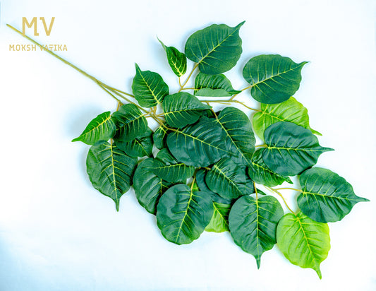 Sacred Peepal Leaf Spray Set of 4 Strips