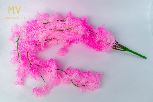 Coral Fluff – Pink Cloud