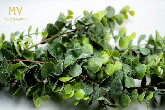 Eucalyptus & Tillandsia Greenery Stem – Real Touch Foliage Bunch