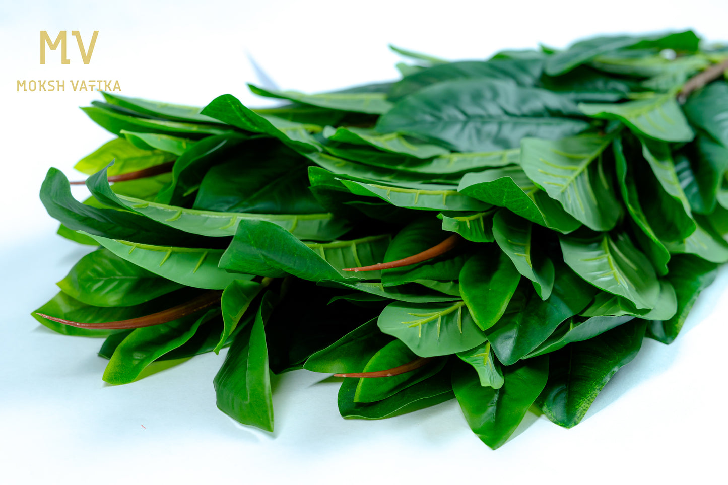 Rainforest RealTouch Leaf Spray