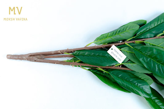 Rainforest RealTouch Leaf Spray