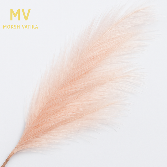 Fluff Stem – Whisper Peach