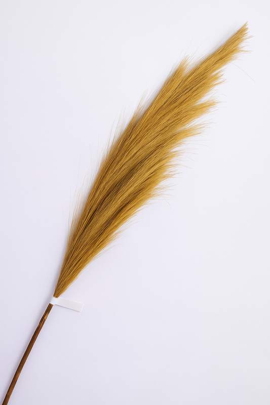 Fluff Stem – Golden Dune