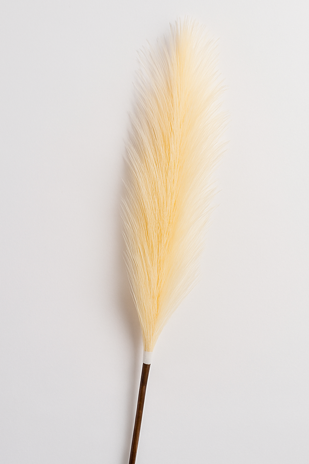 The Fluff Edit – Honey Mist Fluff Stem