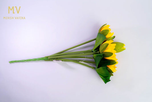Yellow Lotus Bunch - Blooming Buds