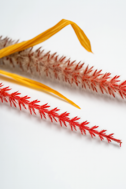 Dried Reed Stem – Crimson Ombre