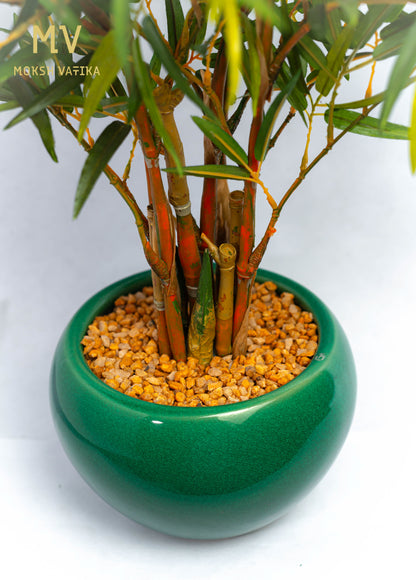 Artificial Bamboo Plant in Ceramic Planter
