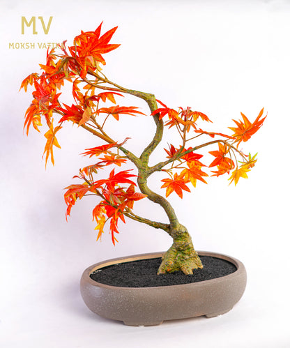 Signature Autumn Maple Bonsai with Fiery Foliage