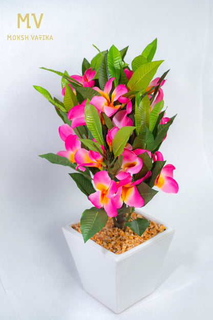 Tropical Pink Plumeria in Ceramic Planter