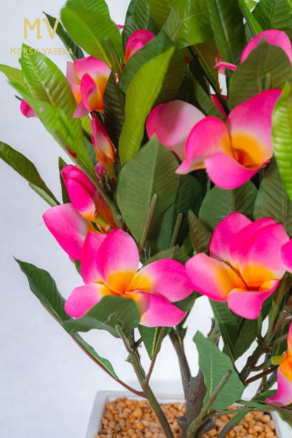 Tropical Pink Plumeria in Ceramic Planter