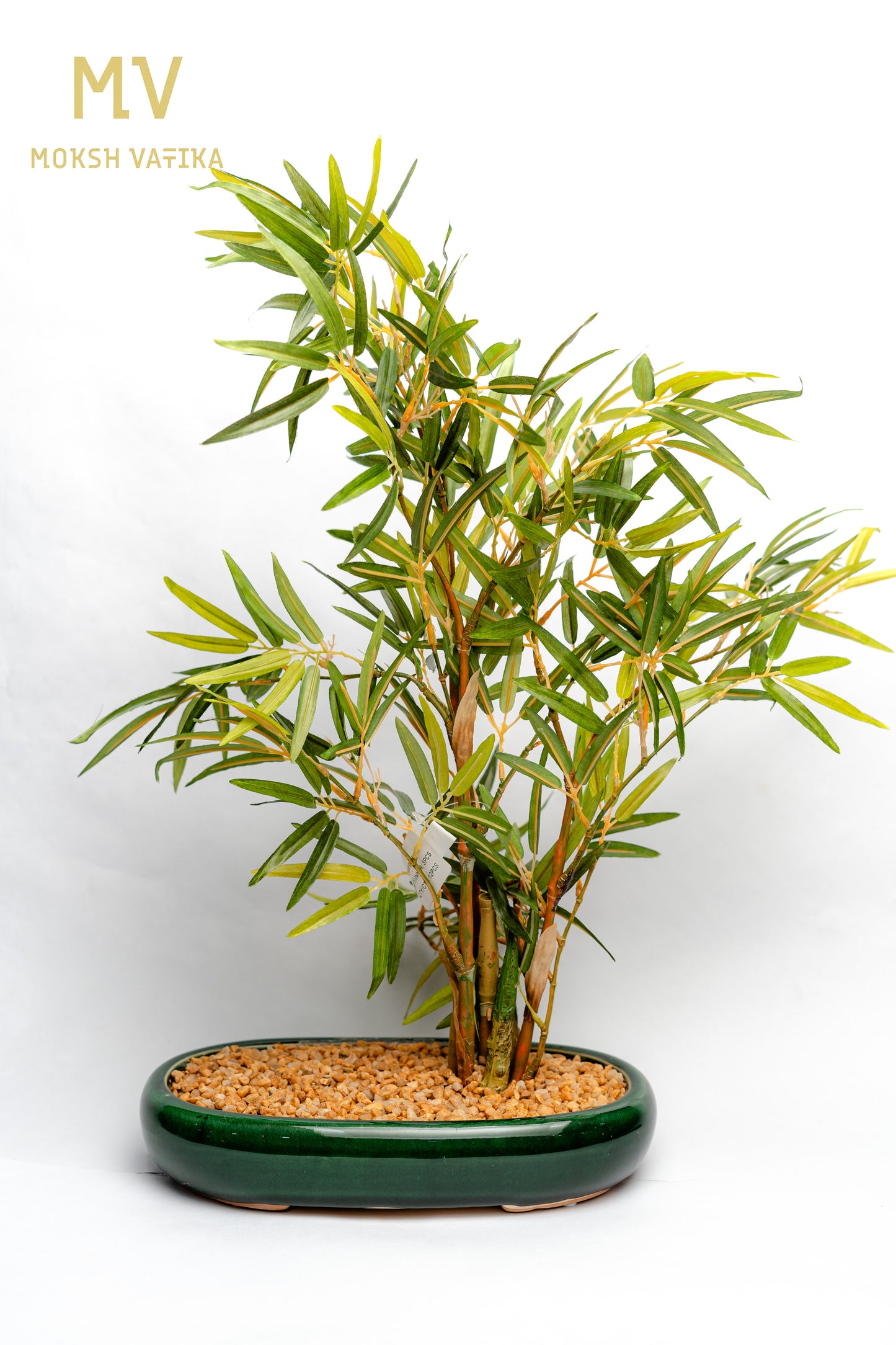 MV Faux Bamboo in Gloss Oval Planter