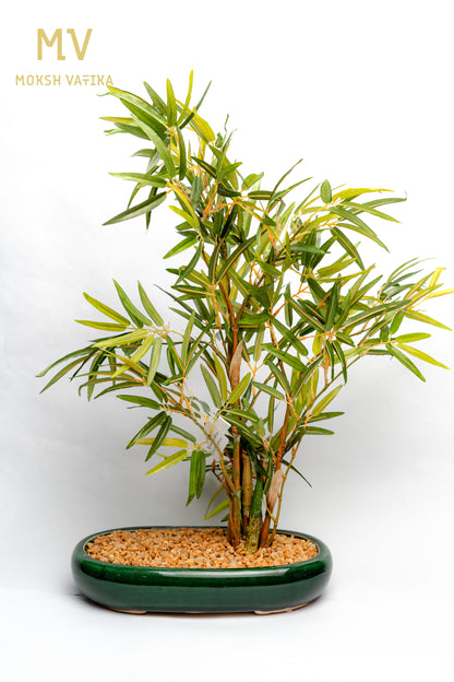 MV Faux Bamboo in Gloss Oval Planter