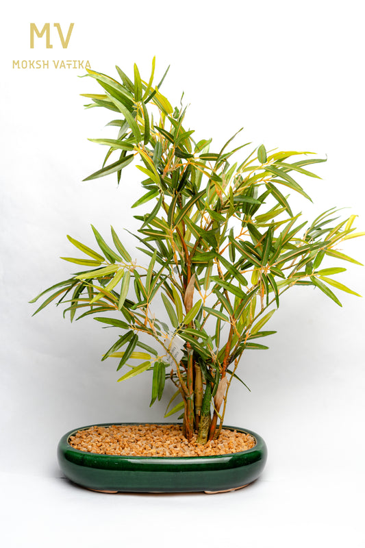 MV Faux Bamboo in Gloss Oval Planter