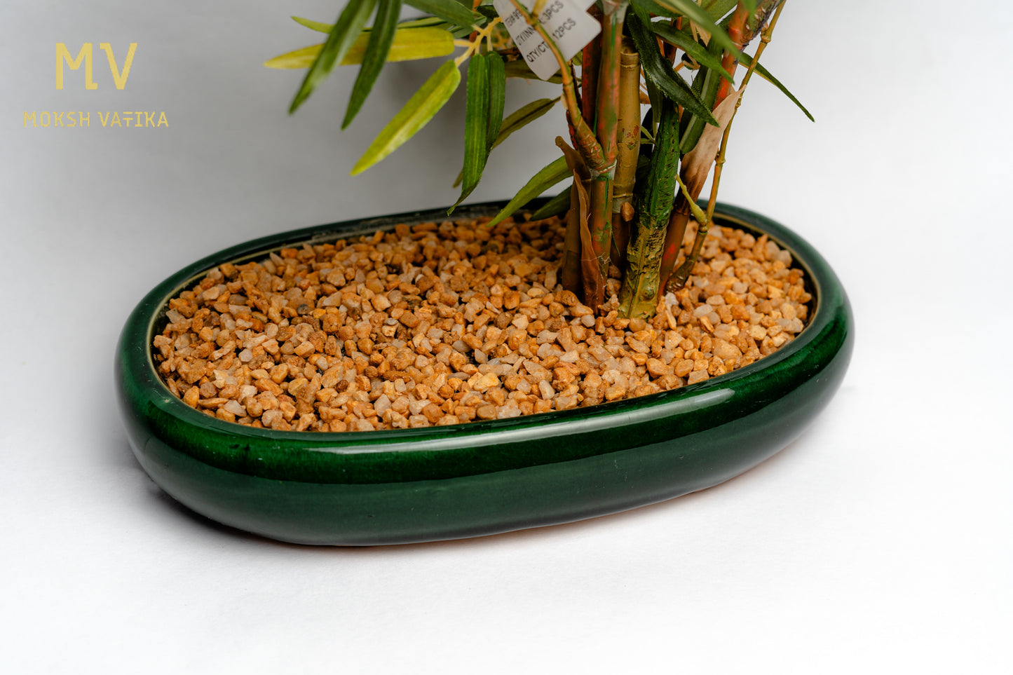 MV Faux Bamboo in Gloss Oval Planter
