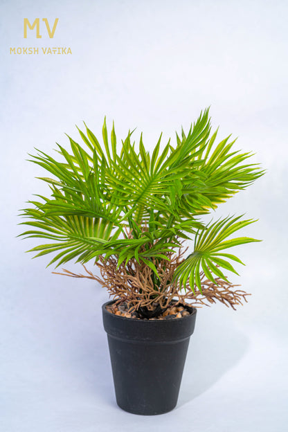 Tropical Faux Palm in Black Pot